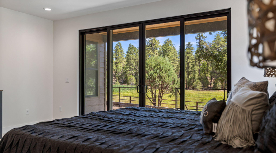 Master bedroom view