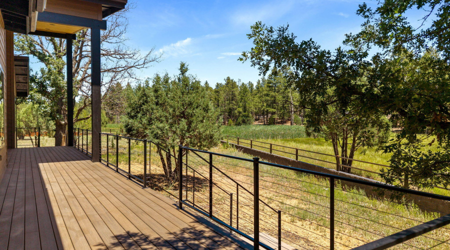 Beautiful meadow views