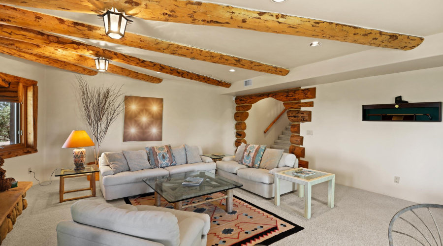 Basement Living Area 2 - Copy