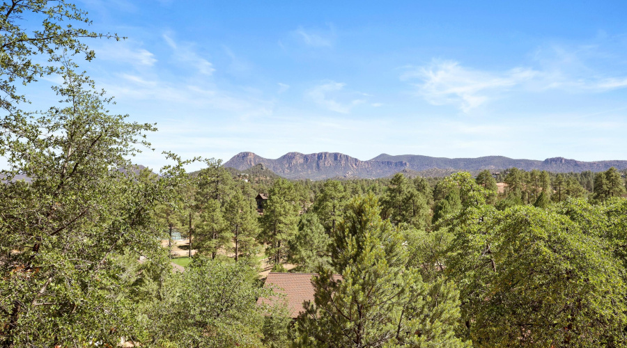 View from Front Door