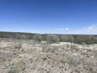 7636 Hamline Drive, White Mountain Lake, Arizona 85912, ,Land,For Sale,Hamline,257242