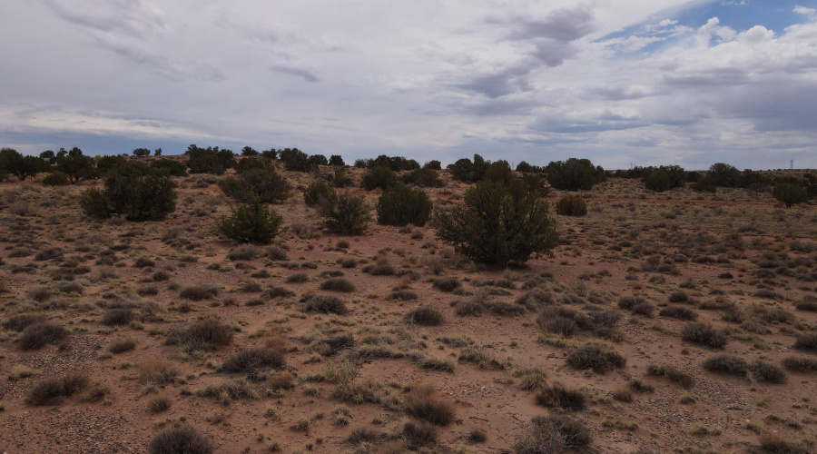 dji_fly_20250728_135826_867_175373632261