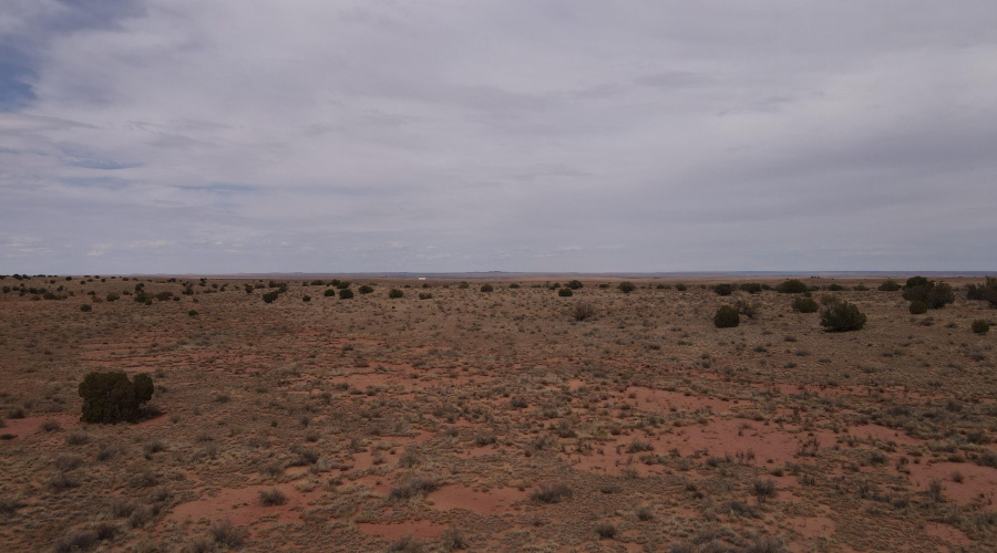 dji_fly_20250728_135444_855_175373609656