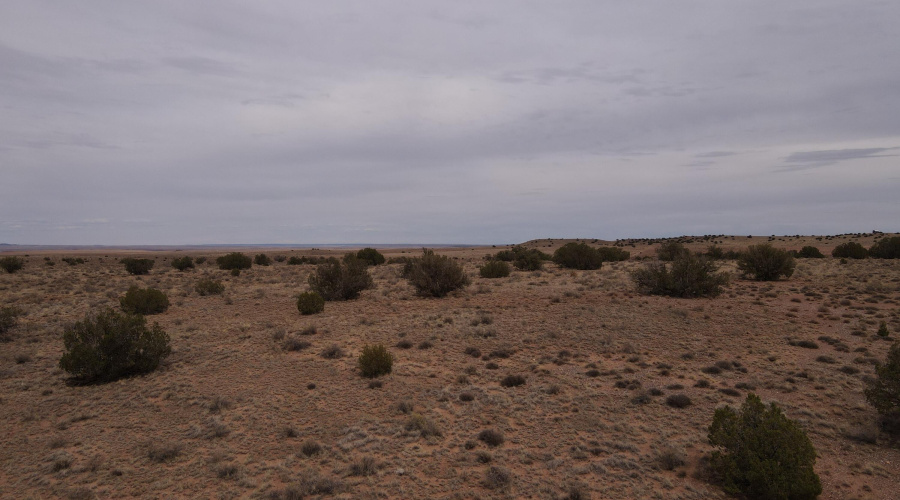 dji_fly_20250728_135456_856_175373610990