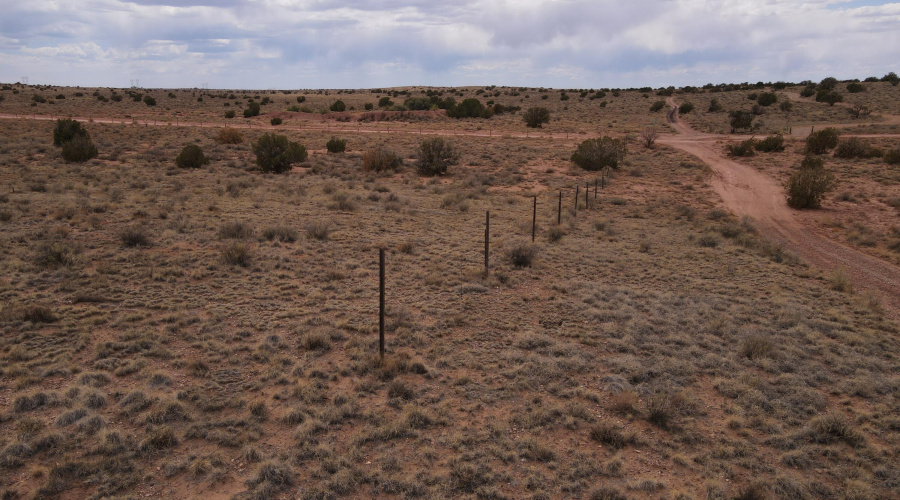 dji_fly_20250728_135650_861_175373623348