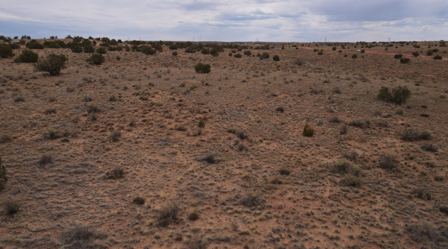 dji_fly_20250728_135730_864_175373627841