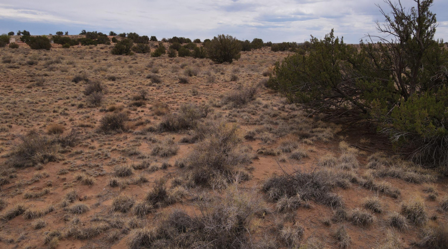 dji_fly_20250728_135800_865_175373629943