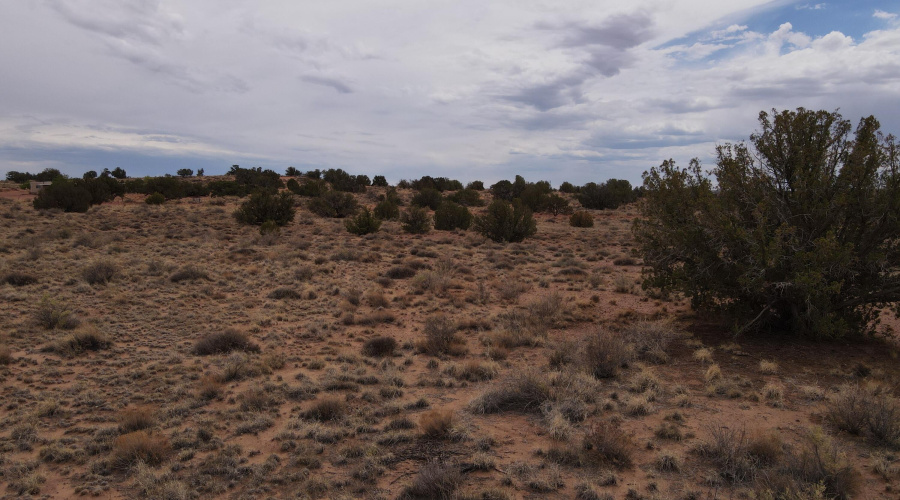 dji_fly_20250728_135818_866_175373631861