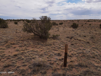 5489 White Antelope Road, Snowflake, Arizona 85937, ,Land,For Sale,White Antelope,257248