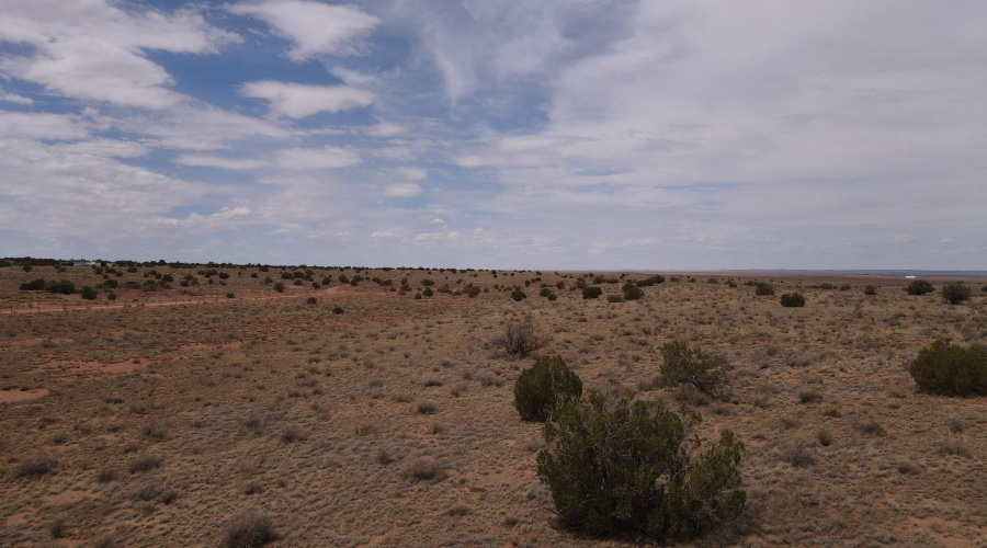 dji_fly_20250728_135506_857_175373612158