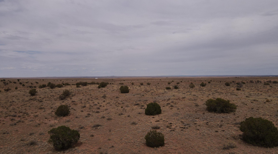 dji_fly_20250728_135528_858_175373614250