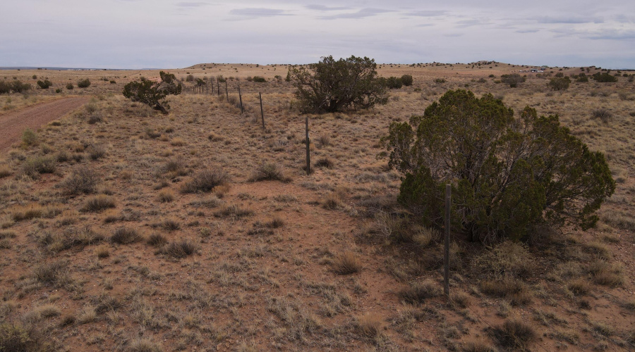 dji_fly_20250728_135656_862_175373623858