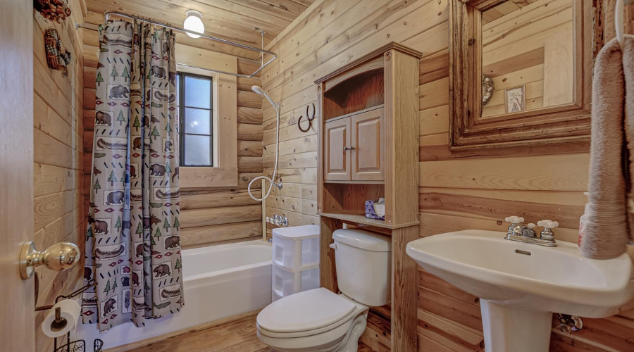 Downstairs full bath