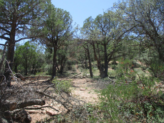 1208 Rim Drive, Payson, Arizona 85541, ,Land,For Sale,Rim,92663