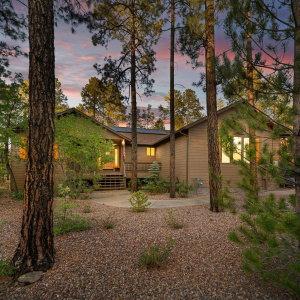 Twilight Front View