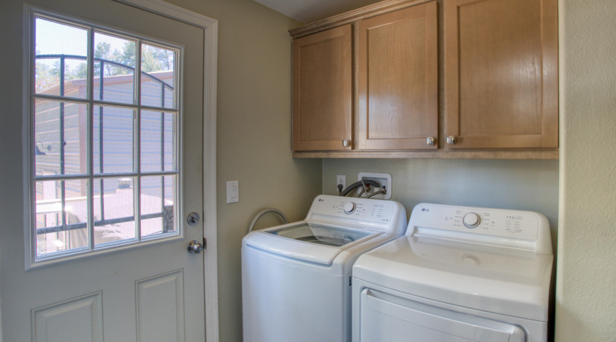 Paxmanphoto_PAX_8683