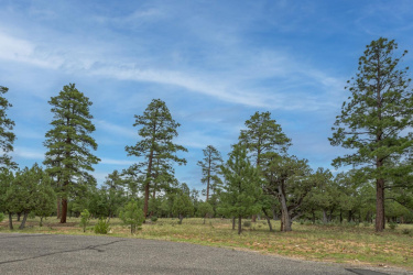 2961 Eagle Ridge Circle, Happy Jack, Arizona 86024, ,Land,For Sale,Eagle Ridge,92656