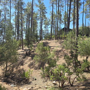 401 N Grapevine Dr, Payson, AZ