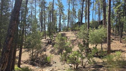 401 Grapevine Drive, Payson, Arizona 85541, ,Land,For Sale,Grapevine,92565