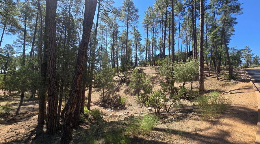 Chaparral Pines Lot 525