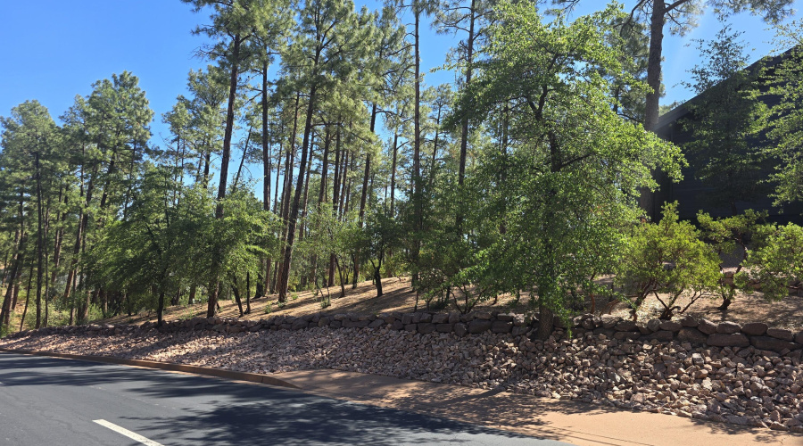 Chaparral Pines Lot