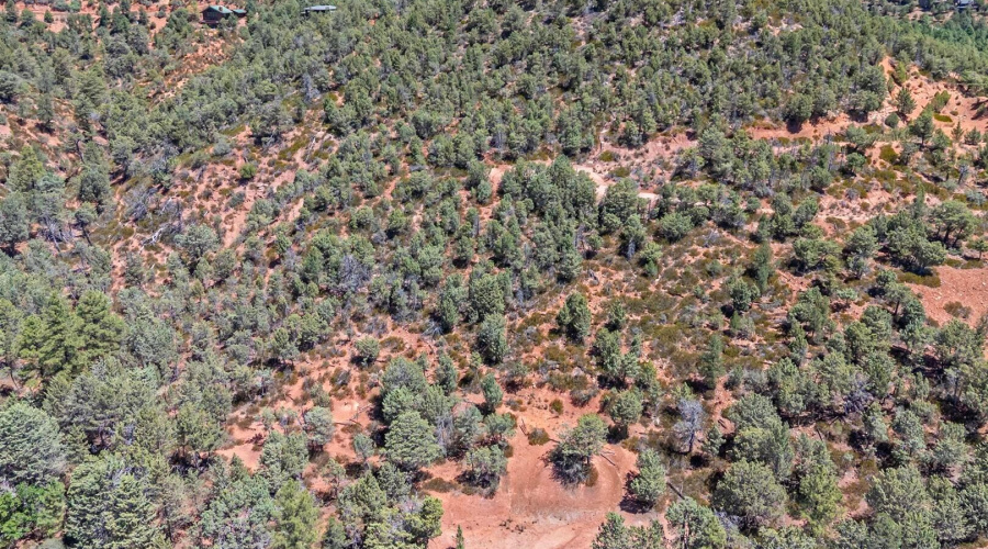 20250728140214878341000000-o