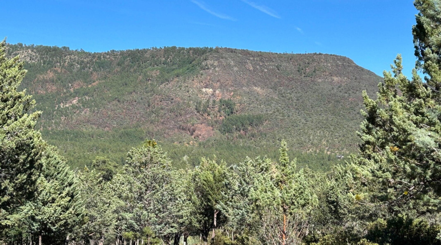 Views from the Property