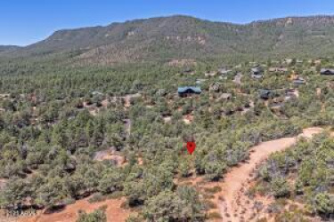Tract D Ruin Hill Loop, Pine, Arizona 85544, ,Land,For Sale,Ruin Hill,92662