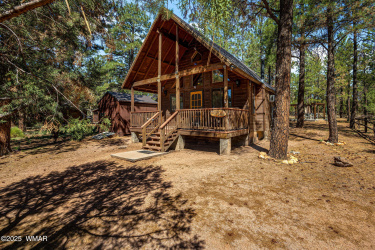 2758 Elk Trail Road, Overgaard, Arizona 85933, Bedrooms, ,Bathrooms,Residential,For Sale,Elk Trail,257263