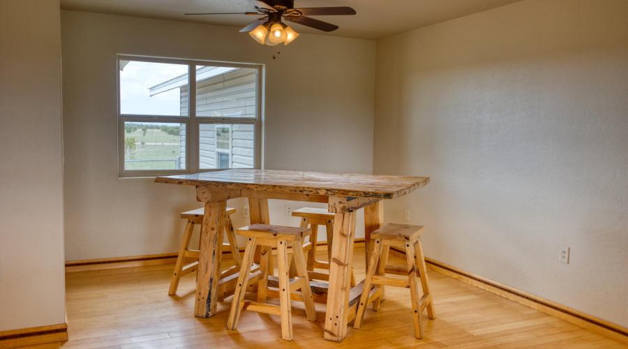 Paxmanphoto_PAX_8193