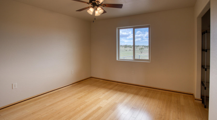 Paxmanphoto_PAX_8198