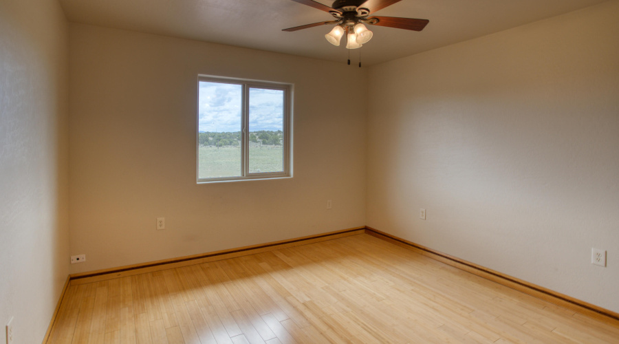 Paxmanphoto_PAX_8203