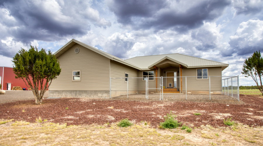 Paxmanphoto_PAX_8221