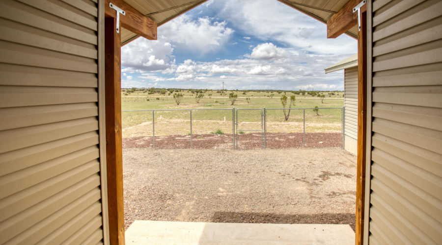 Paxmanphoto_PAX_8207