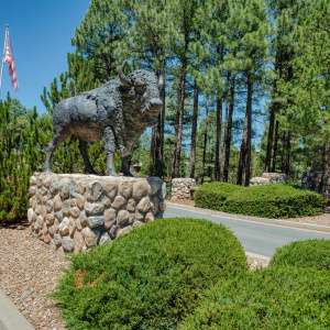 Bison Ridge Luxury Twin Homes