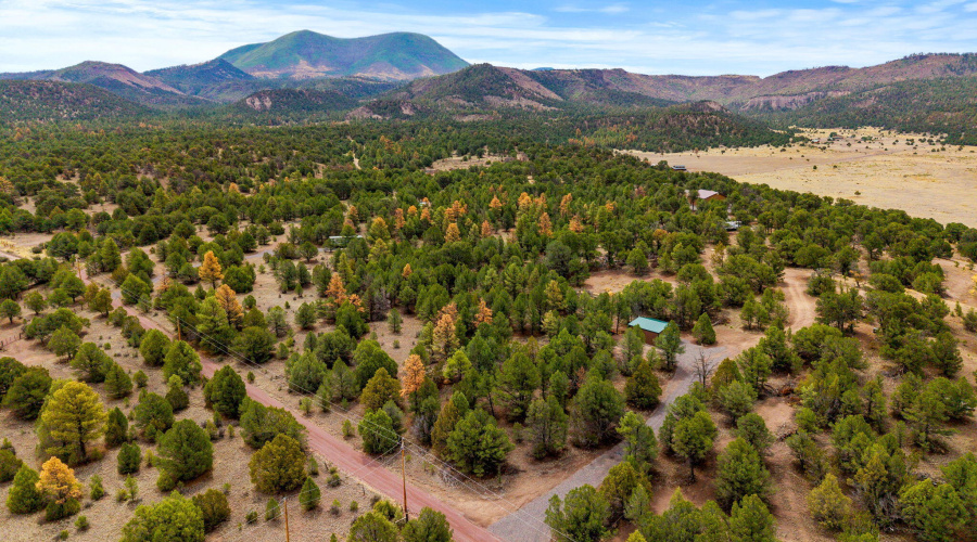 Parcel102-39-003M-Nutrioso-AZ-11