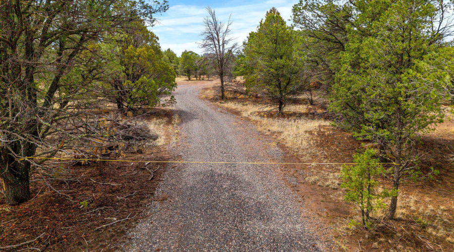 Parcel102-39-003M-Nutrioso-AZ-12