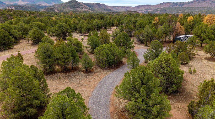 Parcel102-39-003M-Nutrioso-AZ-9