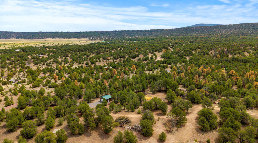 Parcel102-39-003M-Nutrioso-AZ-15