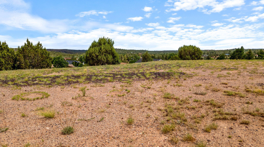 1182OutlawPass-ShowLow-AZ-4