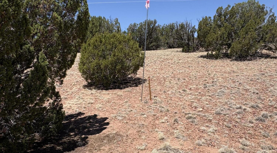 Surveyed and Boundries Clearly Marked