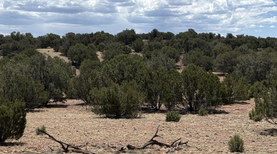 Boundries are Clearly Marked