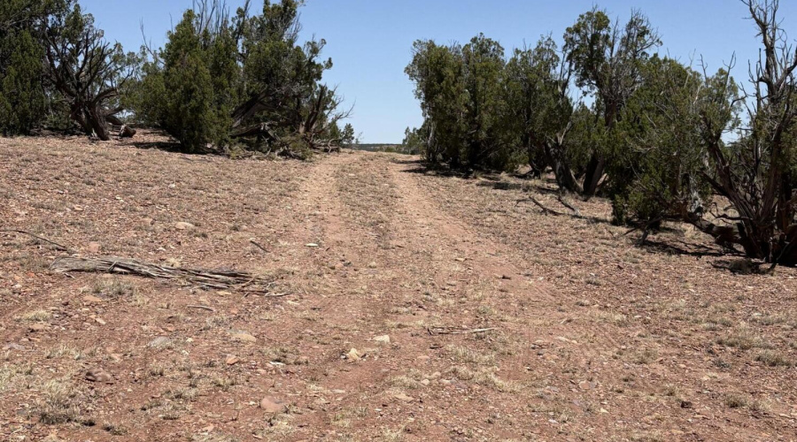 Drive way on West side of Property