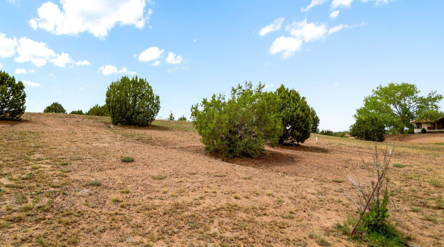 1188OutlawPass-ShowLow-AZ-15