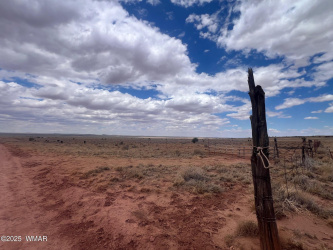 8400 Terry Trail, Snowflake, Arizona 85937, ,Land,For Sale,Terry,257294
