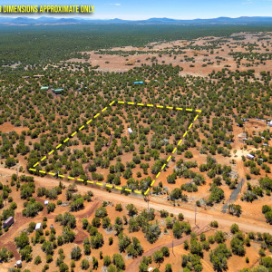 9071ChimisaRanchRd-ShowLow-AZ-16