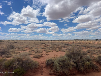 8357 Terry Trail, Snowflake, Arizona 85937, ,Land,For Sale,Terry,257292