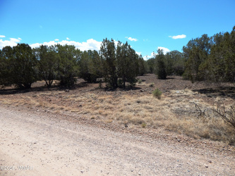 8337 Navajo Drive, Show Low, Arizona 85901, ,Land,For Sale,Navajo,257284