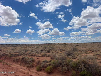 8358 Terry Trail, Snowflake, Arizona 85937, ,Land,For Sale,Terry,257291