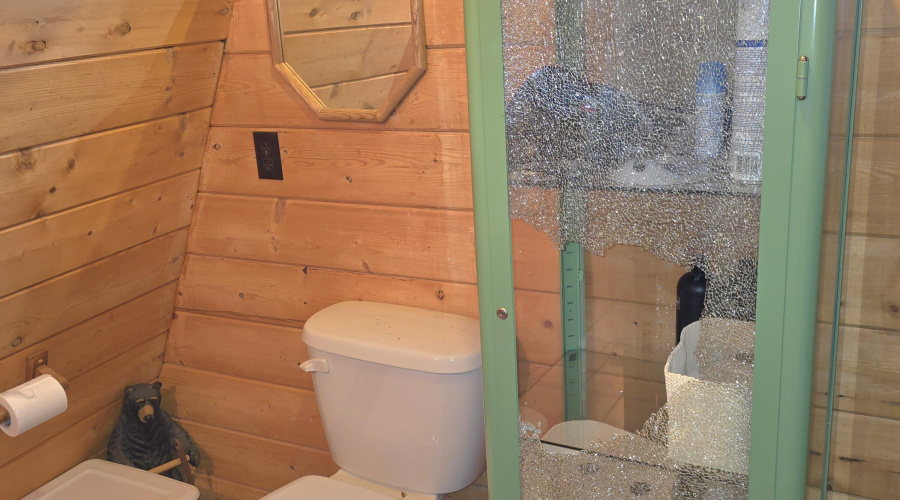 Bath Toilet & Window